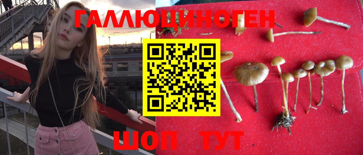 Галлюциногенные грибы мухоморы Ногинск